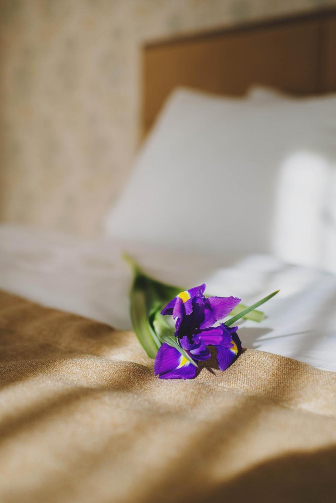 Hotel Alkor 特鲁斯卡韦茨 客房 照片